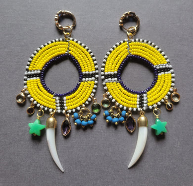 Earrings 1774