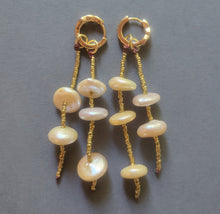 Load image into Gallery viewer, Earrings 1800