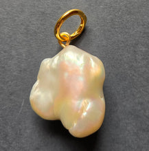 Load image into Gallery viewer, Pendant 1352