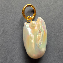 Load image into Gallery viewer, Pendant 1346