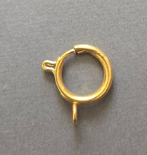 Load image into Gallery viewer, Clasp ONLY for Peking glass
