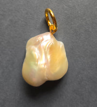 Load image into Gallery viewer, Pendant 1352
