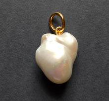 Load image into Gallery viewer, Pendant 1351