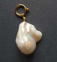 Load image into Gallery viewer, Pendant 1389