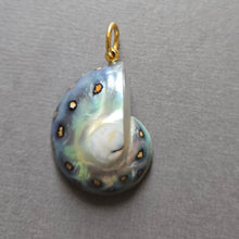 Load image into Gallery viewer, Pendant 1696