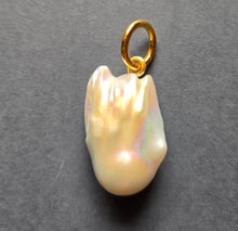 Load image into Gallery viewer, Pendant 1346