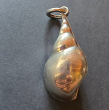 Load image into Gallery viewer, Pendant 1465