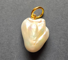Load image into Gallery viewer, Pendant 1351