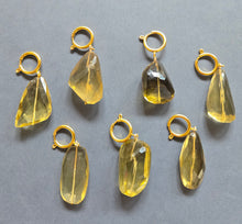 Load image into Gallery viewer, Pendant 1444