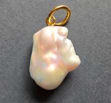 Load image into Gallery viewer, Pendant 1350