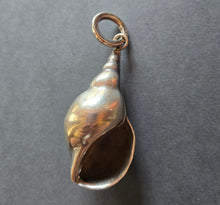 Load image into Gallery viewer, Pendant 1465